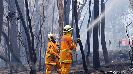 Lực lượng cứu hỏa nỗ lực dập lửa cháy rừng tại Dargan, Australia. (Ảnh: AFP/TTXVN)