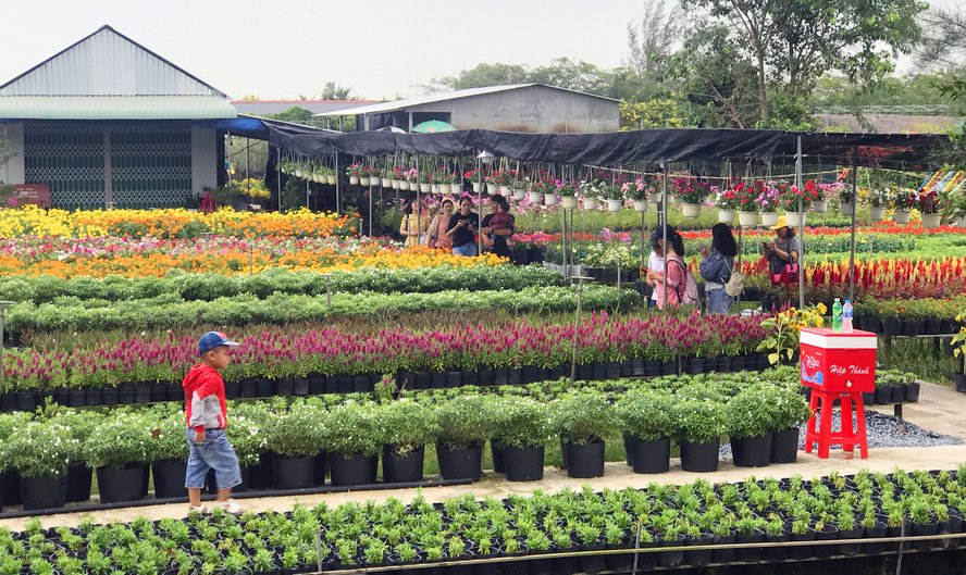 Ngoài ra, hầu hết các khu vườn đều miễn phí cho khách tham quan, chụp ảnh và mua hoa.