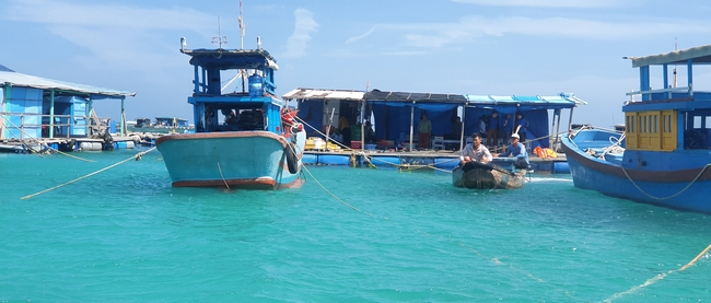 Dịch vụ tham quan, ăn uống tại lồng bè khu nuôi trồng thủy sản thu hút khách du lịch.