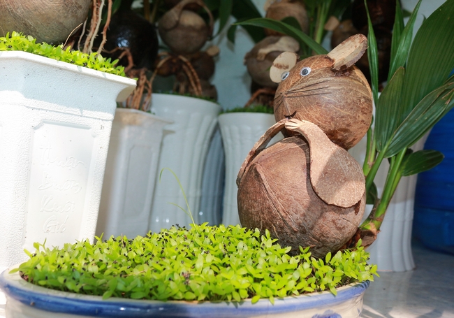 Bonsai dừa hình chuột đa dạng với nhiều kiểu dáng khác nhau