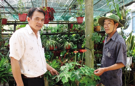 Nắm bắt được nhu cầu chơi hoa ngày tết nên ông Thanh (phải) trồng rất nhiều hoa và mua thêm hoa về bán.
