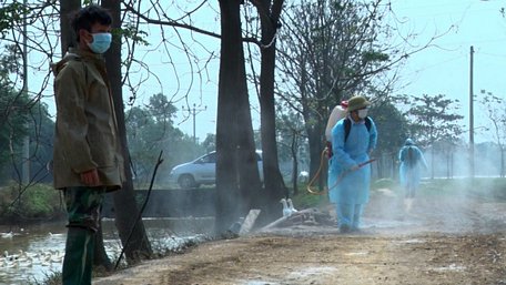 Lực lượng chức năng phun thuốc khử trùng phòng chống dịch cúm gia cầm tại xã Phú Nghĩa, huyện Chương Mỹ, Hà Nội - Ảnh: P. HẠNH