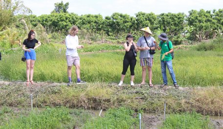 Đoàn 18 du khách Australia, ghé thăm trang trại trồng rẫy và chăn nuôi của hộ dân ở ấp Phước Hanh A, xã Phước Hậu (Long Hồ), ngày 13/2/2020.