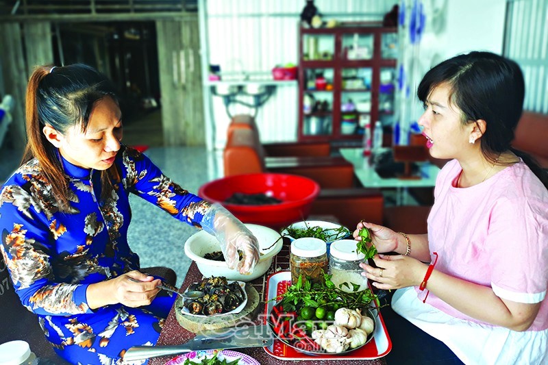 Để món ba khía được hấp dẫn hơn, chị Châu Thị Đạm (trái), chủ cơ sở ba khía Châu Sang ướp thêm gia vị vài giờ trước khi ăn.