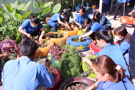 Thực hiện công trình vườn hoa tại Trường mầm non An Bình