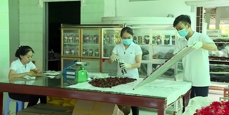 Diễm Trinh (giữa) thực hiện các công đoạn để sản xuất ra trà hoa.