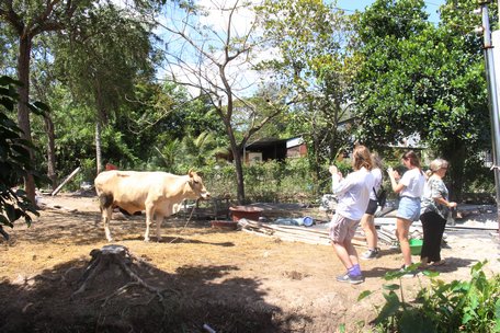 Đoàn khách Úc của Công ty CP Du lịch Cửu Long tham quan mô hình trồng trọt, chăn nuôi của hộ dân ở xã Phước Hậu (Long Hồ). Ảnh: NGỌC TRẢNG