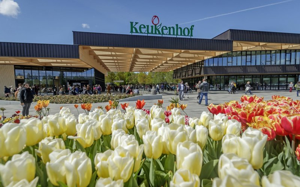 Nếu là người yêu hoa hẳn bạn không thể không biết đến Vườn hoa Keukenhof ở tỉnh Lisse, phía nam thủ đô Amsterdam (Hà Lan). Vườn hoa thường bắt đầu mở cửa từ cuối tháng 3 đến giữa tháng 5 để chào đón hàng triệu du khách.