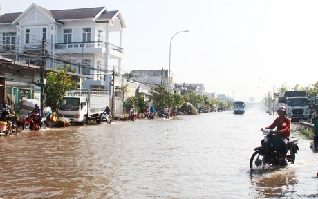 Cần nâng cao năng lực hệ thống thoát nước để các đô thị Vĩnh Long khắc phục ngập úng mùa mưa lũ.