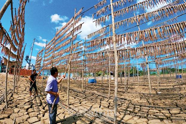 Tại Cái Đôi Vàm, huyện Phú Tân, nghề làm cá khô khoai đã trở thành truyền thống. Sản phẩm cá khô khoai nơi này đã vươn xa khi được công nhận nhãn hiệu tập thể.