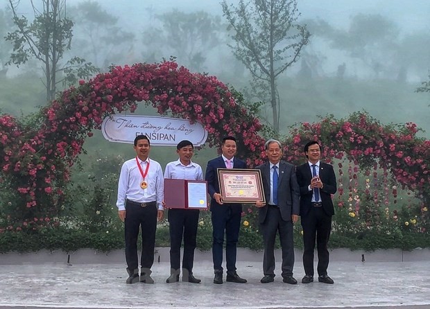 Ông Nguyễn Xuân Chiến, Giám đốc Khu du lịch Sun World Fansipan Legend nhận chứng nhận kỷ lục mới cho thung lũng hoa hồng. (Ảnh: M.Mai/Vietnam+)