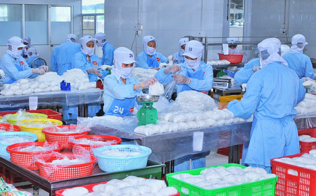 Cơ sở sản xuất bún và bánh phở Ba Khánh góp phần phát triển kinh tế địa phương, giải quyết việc làm cho hàng chục lao động.