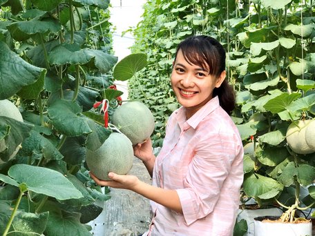 Chị Hiền phấn khởi bên vườn dưa lưới cho năng suất và chất lượng cao.