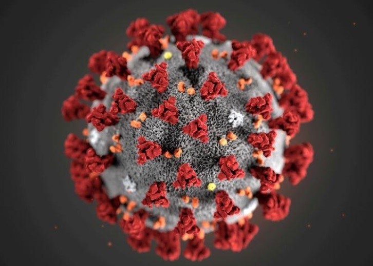 Virus corona chủng mới gây bệnh Covid-19. Ảnh: Reuters.