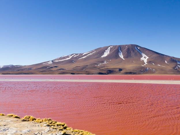 Laguna Colorada, Bolivia    Hồ nước đỏ ở Bolivia khiến du khách ngỡ như lạc tới một thế giới khác. Tảo đỏ tạo cho vùng nước muối nông này một màu sắc rất riêng biệt. Đáng chú ý hơn nữa là những con hồng hạc nổi tiếng đổ về đây để ăn sinh vật phù du tự nhiên, lông của chúng cũng có màu hồng do bị nhuộm bởi tảo mà chúng lội qua.