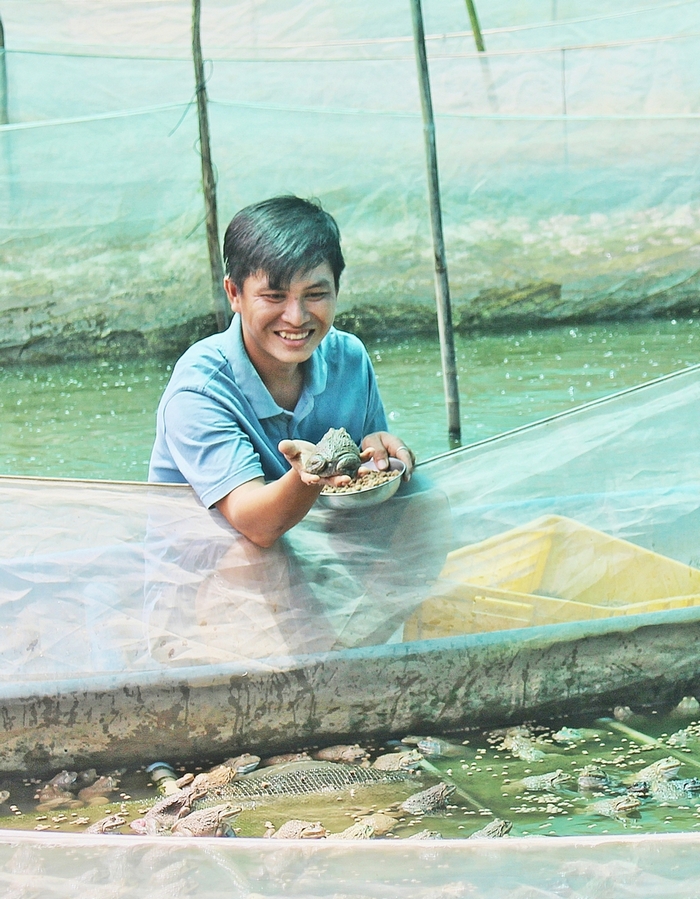 Với diện tích nuôi trồng thủy sản lớn nhất tỉnh (689ha), huyện Tam Bình đang khai thác tiềm năng mặt nước và diện tích ruộng không sản xuất lúa vụ 3 để nuôi trồng thủy sản. Trong ảnh: Mô hình nuôi ếch trong vèo kết hợp nuôi cá rô, cá tra của nông dân xã Bình Ninh đang đem lại nguồn lợi khá.