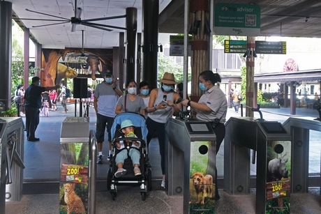  Du khách đeo khẩu trang phòng lây nhiễm COVID-19 khi tới tham quan vườn thú ở Singapore ngày 6/7/2020. Ảnh: THX/ TTXVN
