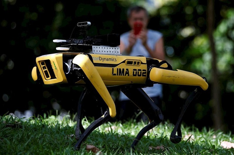 Trước đó, Singapore đã thử nghiệm robot chó nhắc người dân giãn cách xã hội. (Ảnh minh họa: KT)
