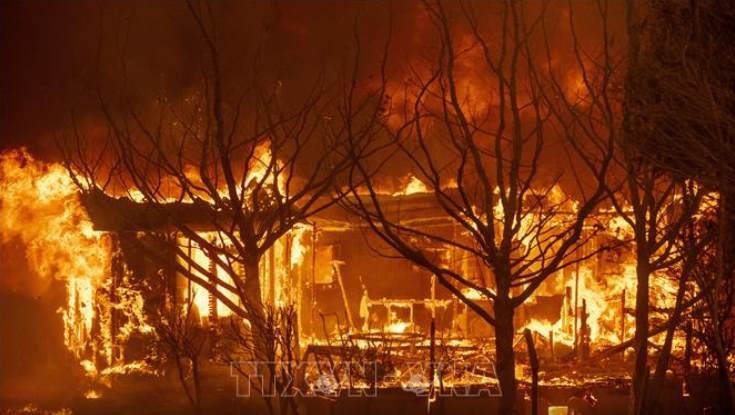Mỹ đã ban bố tình trạng khẩn cấp tại bang California do cháy rừng (Ảnh: AFP/TTXVN)