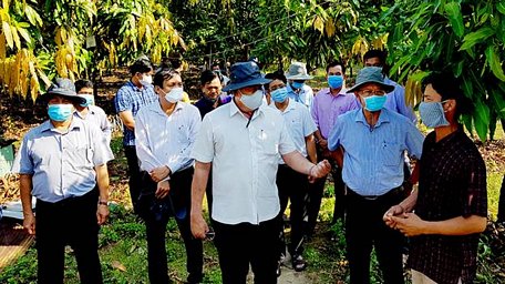 Chủ tịch UBND tỉnh Nguyễn Thanh Bình thăm Hợp tác xã dịch vụ nông nghiệp và trồng xoài VietGAP Bến Bà Chi
