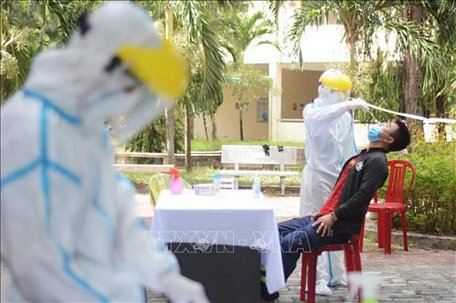 Thành phố Đà Nẵng tổ chức xét nghiệm virus SARS-CoV-2 cho 50 người là thành viên Ban in sao đề thi, nhằm đảm bảo an toàn cho thí sinh và cán bộ, giáo viên, nhân viên tham gia Kỳ thi tốt nghiệp Trung học Phổ thông năm 2020 (đợt 2). Ảnh minh họa: Văn Dũng/TTXVN