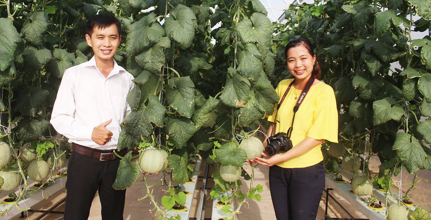 Anh Nguyễn Trọng Nghĩa (xã Mỹ Hòa- TX Bình Minh) bên khu vườn trồng dưa lưới công nghệ cao của mình (ảnh 5).
