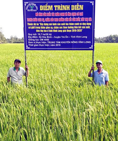 Vụ Đông Xuân 2019, mô hình sản xuất lúa thâm canh và ứng dụng cơ giới hóa trong khâu gieo sạ lúa theo khóm đã triển khai tại Trà Ôn đạt hiệu quả cao.