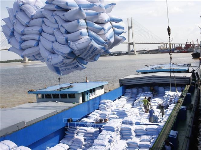 Gạo là một trong những mặt hàng xuất khẩu tăng trong tháng 8. Ảnh: TTXVN.