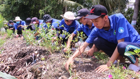 Sinh viên Trường ĐH Sư phạm kỹ thuật Vĩnh Long hăng say làm cỏ, trồng cây, góp phần xây dựng địa phương.