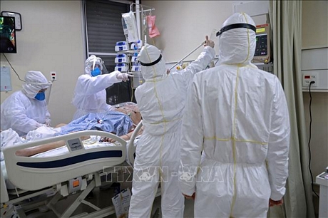 Nhân viên y tế điều trị cho bệnh nhân COVID-19 tại bệnh viện ở Porto Alegre, Brazil ngày 13/8. Ảnh: AFP/TTXVN