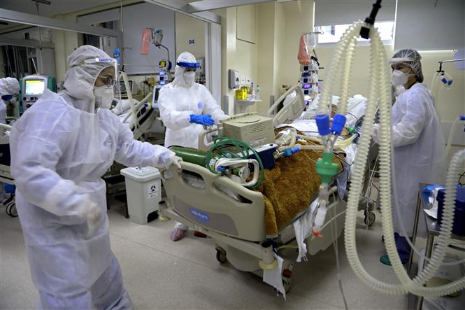  Bệnh nhân COVID-19 được điều trị tại bệnh viện Santa Casa de Misericordia ở Porto Alegre, Brazil, ngày 13/8/2020. Ảnh: AFP/TTXVN