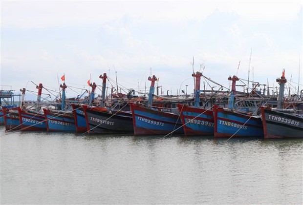 Nhiều tàu thuyền của tỉnh Thừa Thiên-Huế đã vào bờ neo đậu an toàn để tránh bão số 5. (Ảnh: Đỗ Trưởng/TTXVN)