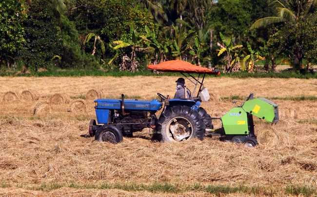 Mức độ cơ giới hóa trong sản xuất nông nghiệp trên địa bàn tỉnh đã tăng lên đáng kể.