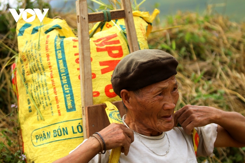 Với đồng bào vùng cao Tả Lèng, việc thu hoạch là công việc chung của tất cả các thành viên trong gia đình, từ người già...