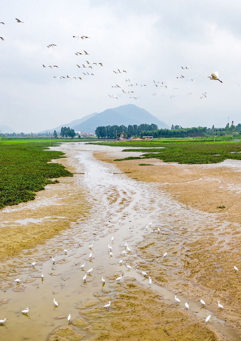 Sông Lục, Núi Huyền.