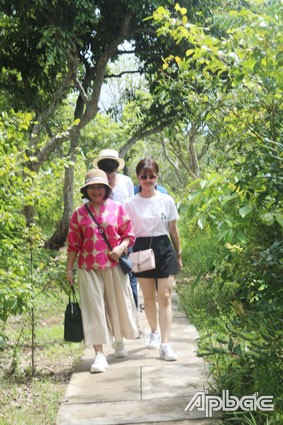 Du khách đi giữa vườn trái cây xanh mát của cù lao.