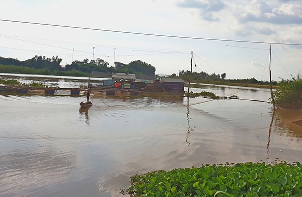 Một nông dân ở huyện An Phú (tỉnh An Giang) đầu tư làm cái rớ hơn 50 triệu đồng nhưng lũ không về xem như lỗ nặng.