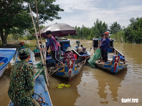Trưa 15/10, chợ kênh Ruột gần biên giới Campuchia vẫn còn nhiều thương lái thu mua cá đồng của ngư dân - Ảnh: BỬU ĐẤU