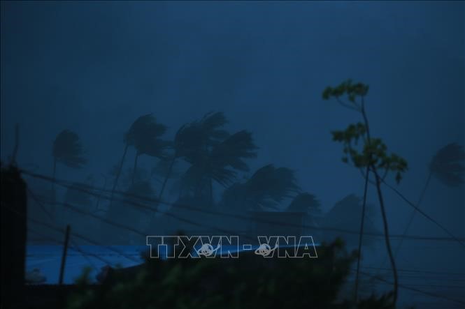 Mưa lớn và gió giật mạnh khi bão Goni đổ bộ vào tỉnh Abay, Philippines ngày 1/11/2020. Ảnh: AFP/TTXVN