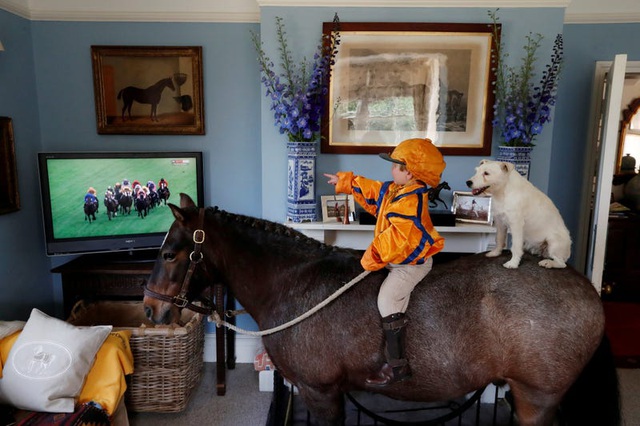 Cậu bé đưa chú ngựa của gia đình vào trong nhà để theo dõi một cuộc đua ngựa. Chú chó cũng thích thú ngồi ké trên lưng ngựa.