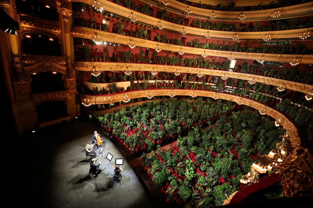 Trong khi đó, tại Tây Ban Nha, một nhà hát đã tổ chức một buổi hòa nhạc với sự theo dõi của... 2.300 chậu cây để nhấn mạnh tầm quan trọng của khán giả trong các buổi biểu diễn. Sau khi buổi biểu diễn kết thúc, nhà hát sẽ đem quyên tặng những chậu cây này cho các bệnh viện, phòng khám.