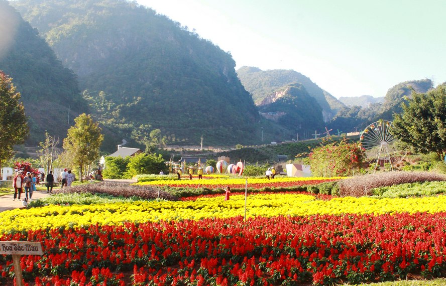 Nằm giữa thung lũng rộng lớn ở bản Lùn, vườn hoa Happy Land Mộc Châu với muôn hoa khoe sắc như “Đà Lạt thu nhỏ” là địa điểm “check in” lý tưởng.