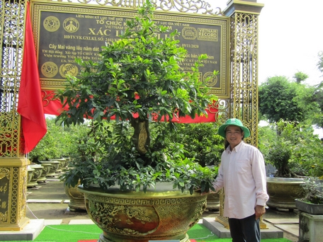 Anh Tuấn bên cây mai dát vàng được công nhận kỷ lục Việt Nam và kỷ lục Đông Nam Á.