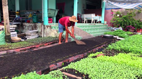 Ông Lê Văn Sơn đang chuẩn bị vô bầu để trồng hoa vạn thọ.