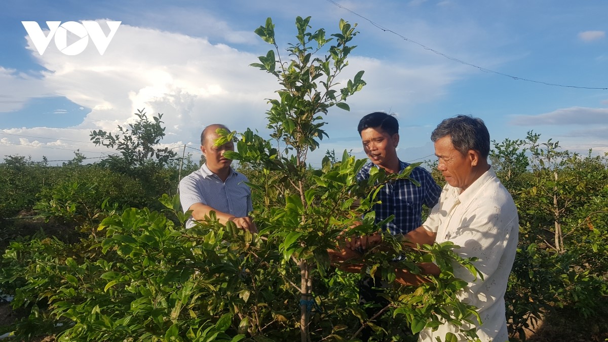 Ông Nguyễn Văn Hoàng (bên phải) trao đổi kinh nghiệm với Hội nông dân xã Tân Tây, huyện Thạnh Hóa, Long An.