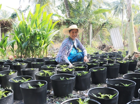 Nhiều hội viên phụ nữ trồng hoa bán tết tạo thêm thu nhập cho gia đình.