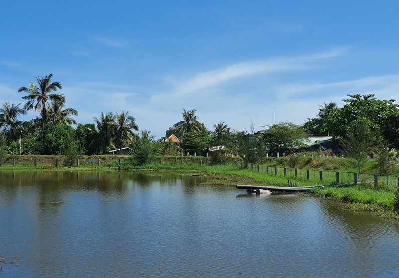 Hồ chứa nước ngọt huyện Ba Tri hiện khá đầy so mực nước tự nhiên. Ảnh: Thanh Đồng
