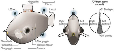 Cá robot Bluebot được trang bị 2 camera ở mắt và 3 đèn LED xanh trên thân. Ảnh: uk.movies.yahoo.com