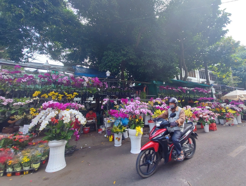 Một góc chợ hoa lan ở đường Nguyễn Thị Út (Phường 1).