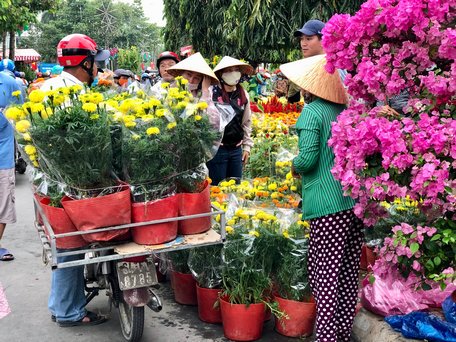 Chợ hoa xuân thu hút khách hàng mua hoa giá rẻ vào sáng 30 tết